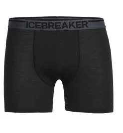 Icebreaker Anatomica - Boxer - Herren