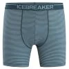 Icebreaker M Anatomica - Boxer - Herren